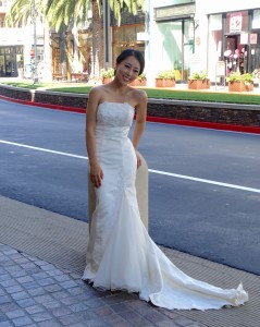 Wedding photo, Santana Row