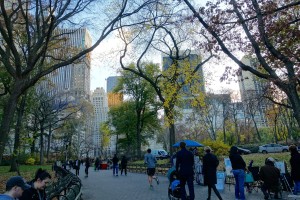 Central Park