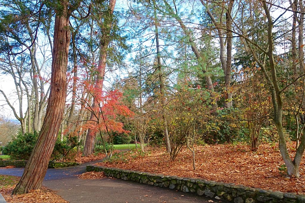 Ashland's Tilden Regional Park