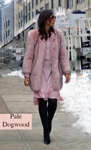 Pantone's fashion color, Pale dogwood