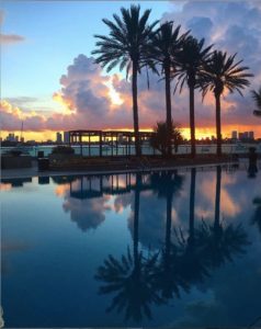 Poolside in Miami Beach at sunset